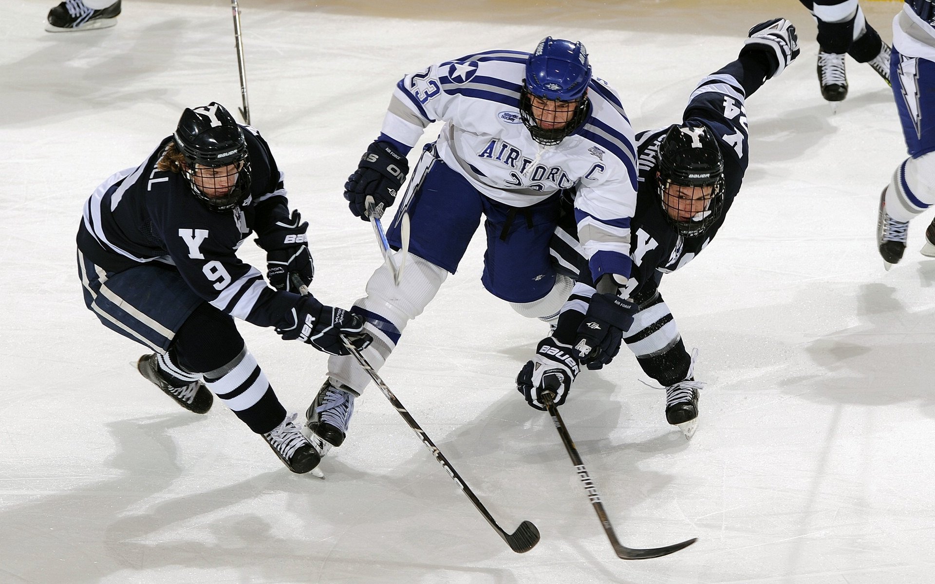 文班亚马闪耀对决之夜，爵士对阵骑士见证新星崛起